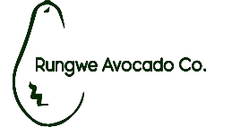 rungwe avocado removebg preview